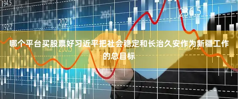哪个平台买股票好　　习近平把社会稳定和长治久安作为新疆工作的总目标