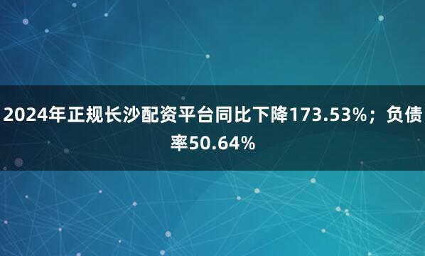 2024年正规长沙配资平台同比下降173.53%;负债率50.64%