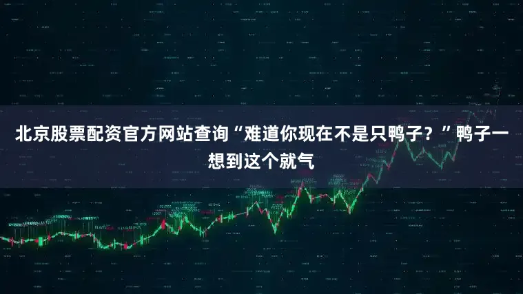 北京股票配资官方网站查询“难道你现在不是只鸭子？”鸭子一想到这个就气