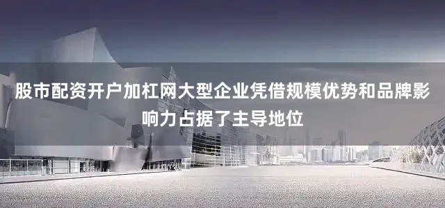 股市配资开户加杠网大型企业凭借规模优势和品牌影响力占据了主导地位