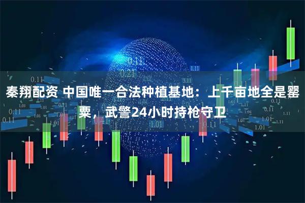 秦翔配资 中国唯一合法种植基地：上千亩地全是罂粟，武警24小时持枪守卫